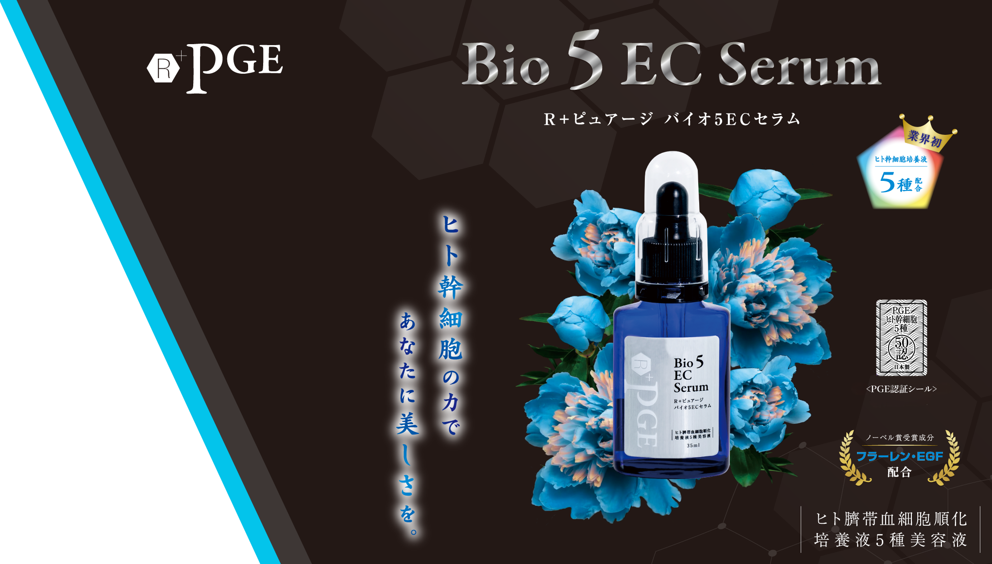 ピュアージ バイオ５ECセラム　バナー 幹細胞コスメ PUREG5
